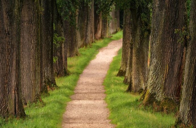 Greenpathassessment Popguroll