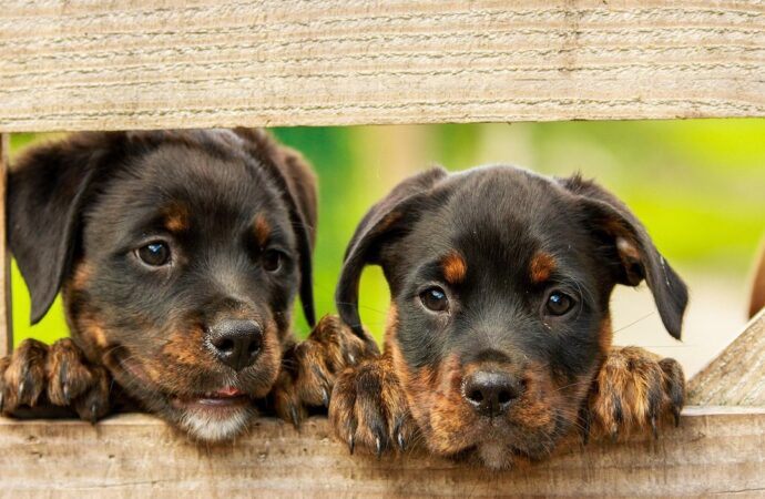 News Gaming Lcftechmods