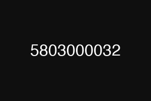 5803000032
