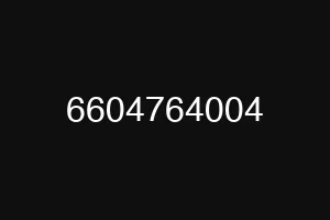 6604764004