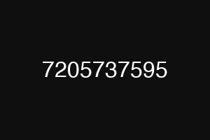 7205737595