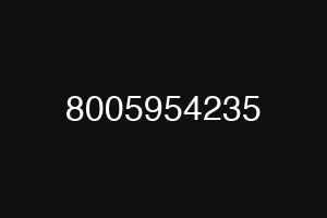 8005954235