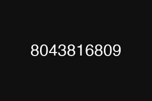 8043816809