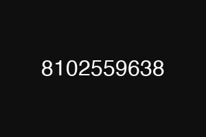8102559638