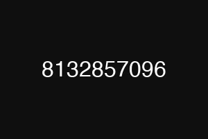 8132857096