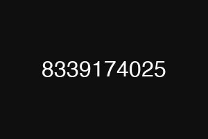 8339174025