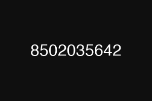 8502035642