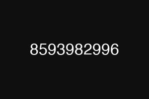 8593982996
