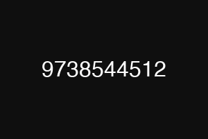 9738544512