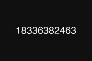 18336382463