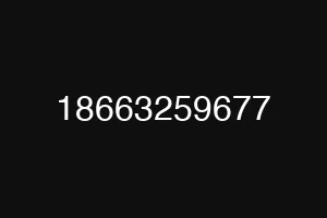 18663259677