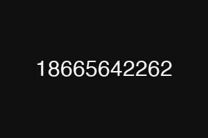 18665642262