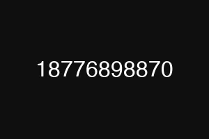 18776898870