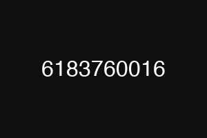 6183760016