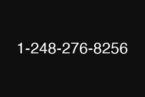 1-248-276-8256