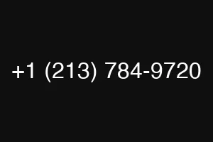 +1 (213) 784-9720