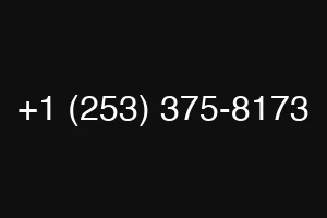 +1 (253) 375-8173