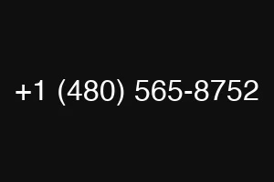 +1 (480) 565-8752