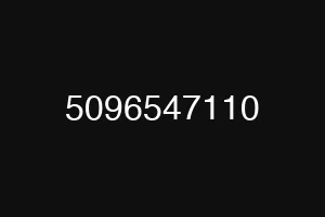 5096547110