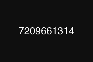 7209661314