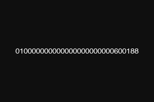 010000000000000000000000600188